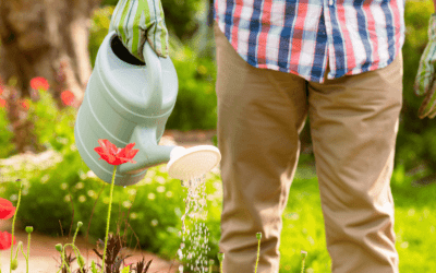 Reusing Reverse Osmosis Wastewater in Zimbabwe